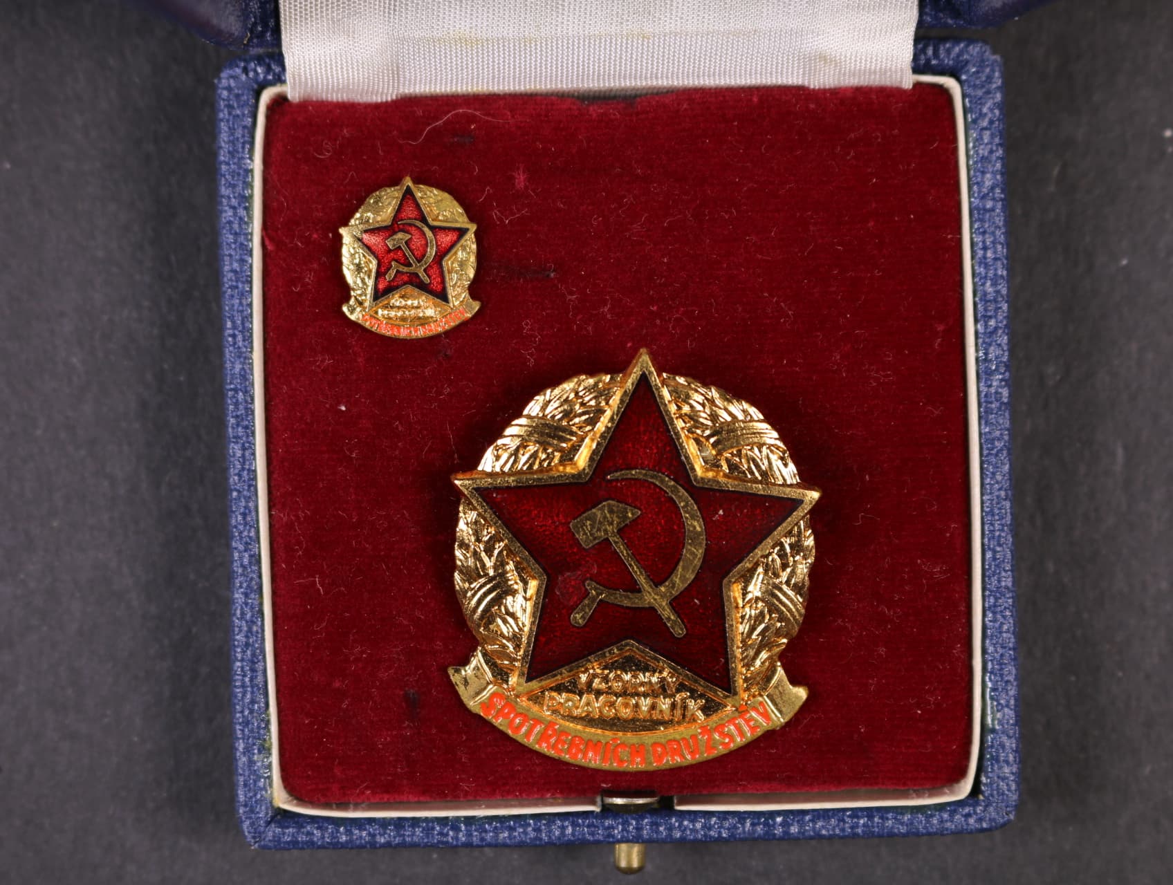 Odznak a miniatura Vzorný pracovník spotřebních družstev, etue
