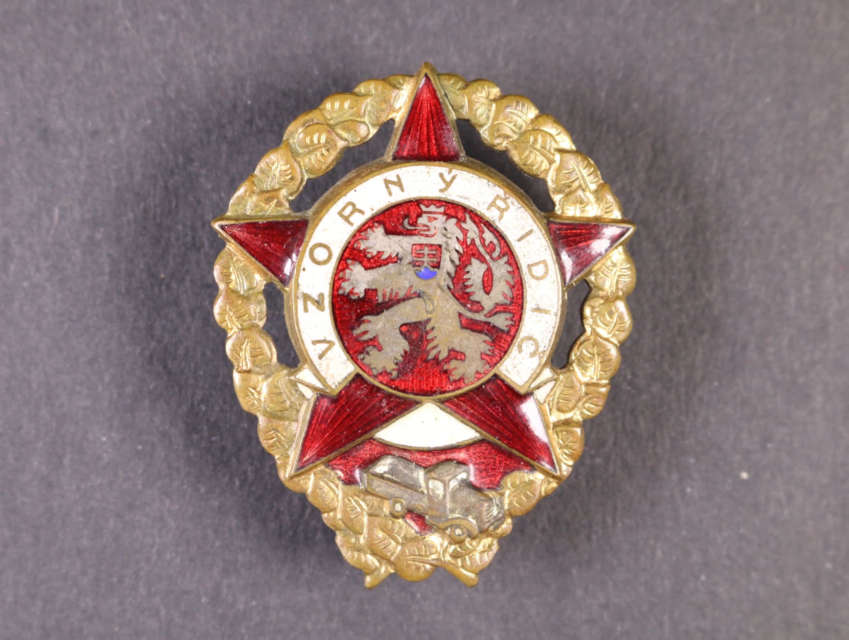 Vzorný řidič č.19299