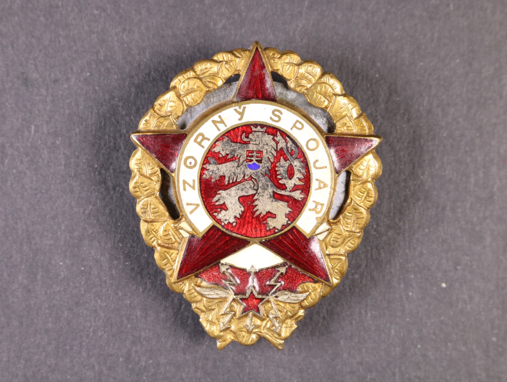 Vzorný spojař č.17800