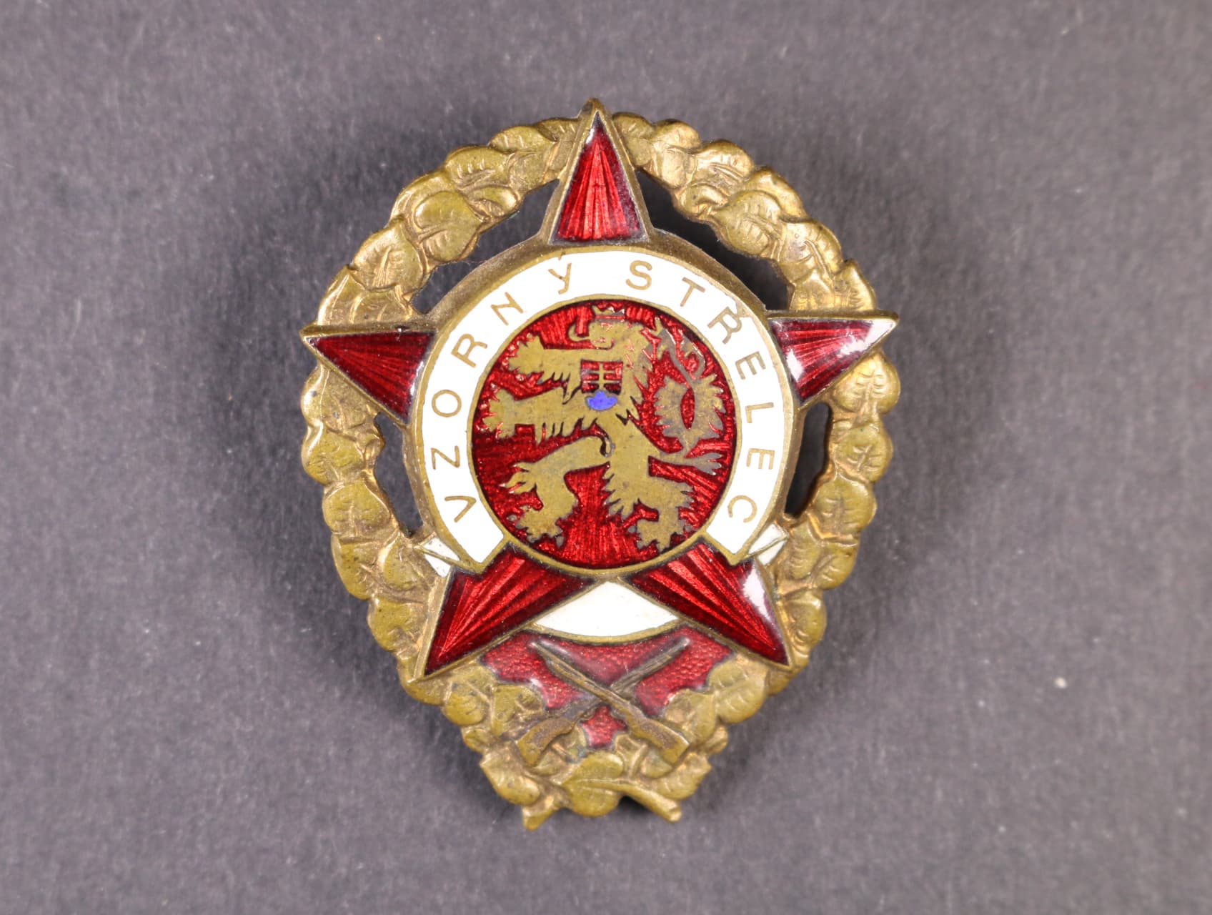 Vzorný střelec č.04601
