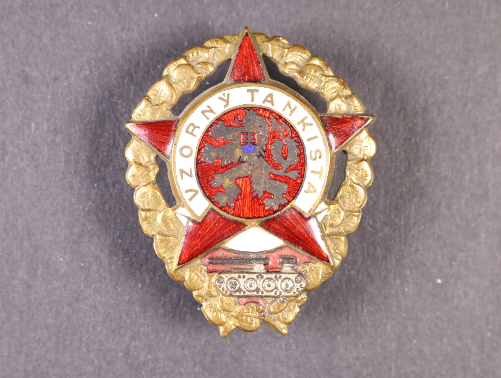 Vzorný tankista č.06610