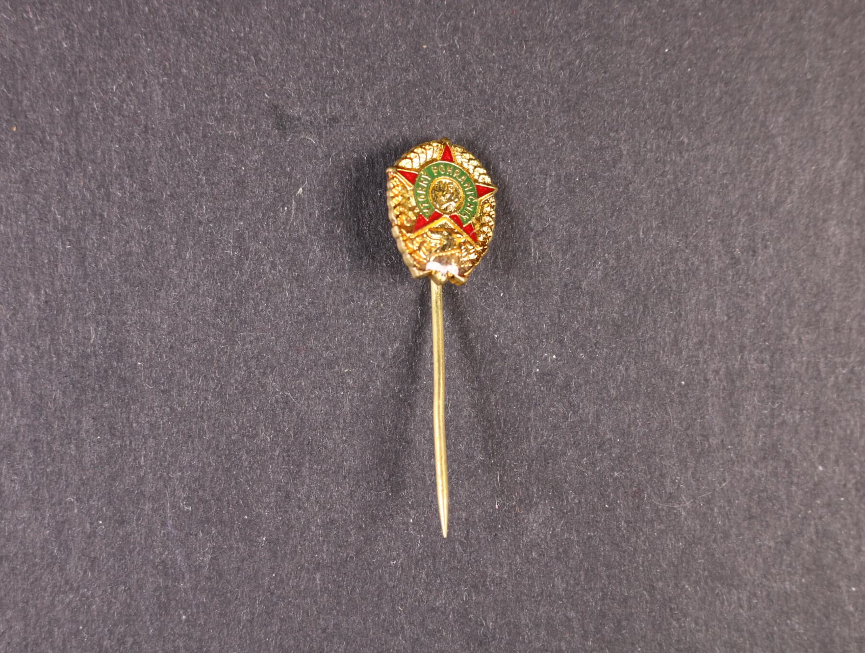 Miniatura odznaku Vzorný pohraničník