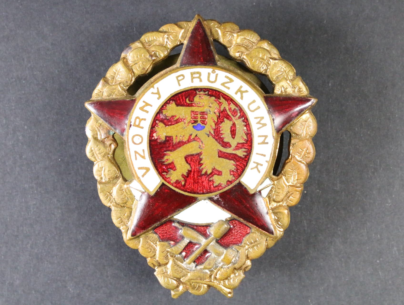 Vzorný průzkumník č.02654