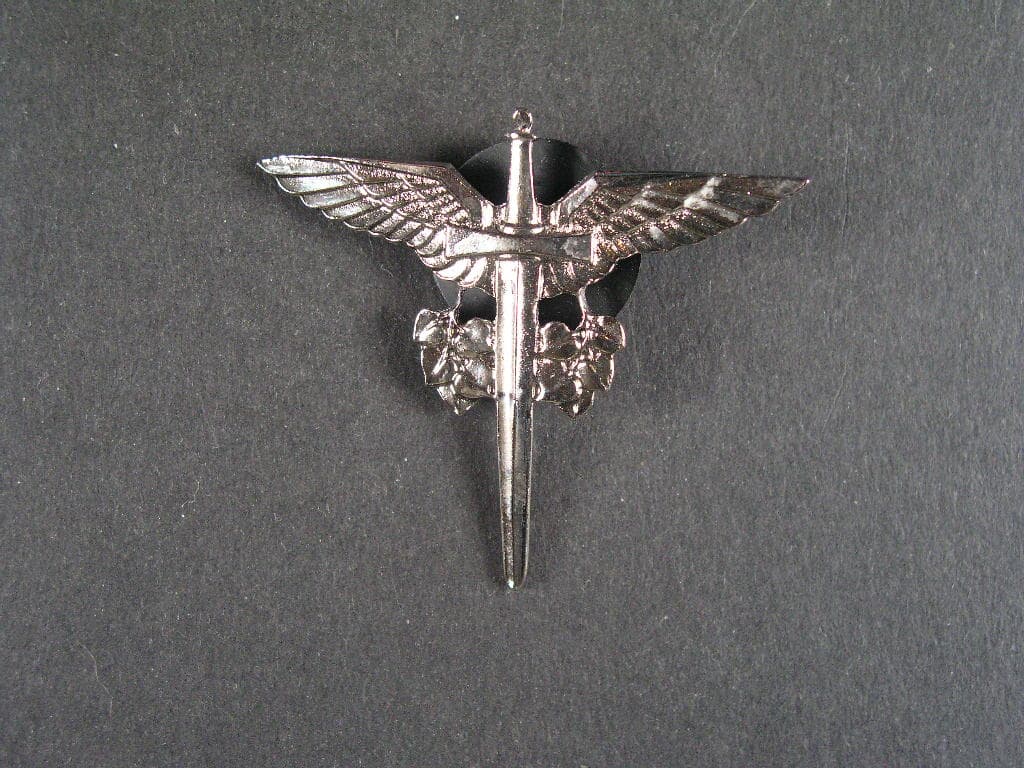 Odznak ŘLP, II.typ po roce 1995