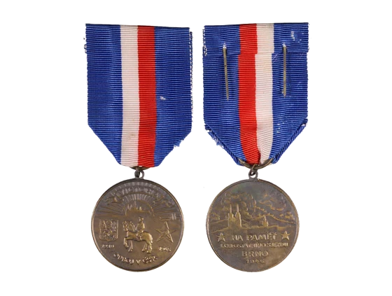 Pamětní medaile odbojové skupiny Victoria, VM180