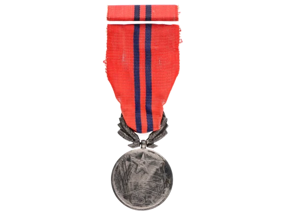Vyznamenání - Za zásluhy o výstavbu I. vydání 1951-1960 ČSR č.2387, udělené 24.2.1958, punc Ag, výroba Zukov Praha