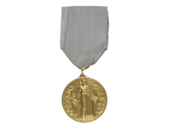 Pamětni medaile FIDAC bez letopočtu ve štítku, pozlacený bronz